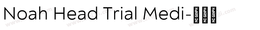 Noah Head Trial Medi字体转换